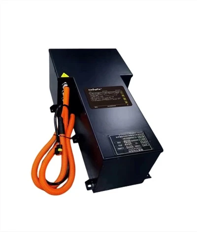 Lithium Battery for Cargo Electric Tricycle