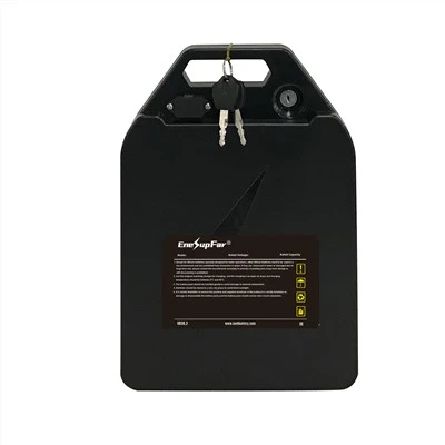 Lithium Battery for Citycoco Scooter
