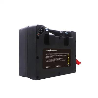 Lithium Ion Battery for Electric Mobility Scooter