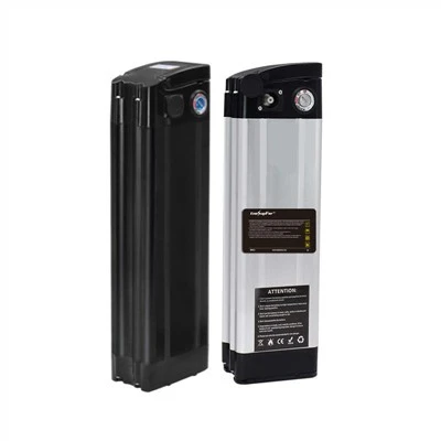 Silver fish Lithium Battery 48V